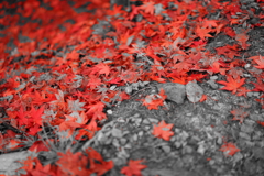 7F27D502-2947-473C-BE23-E5CF09EBF235