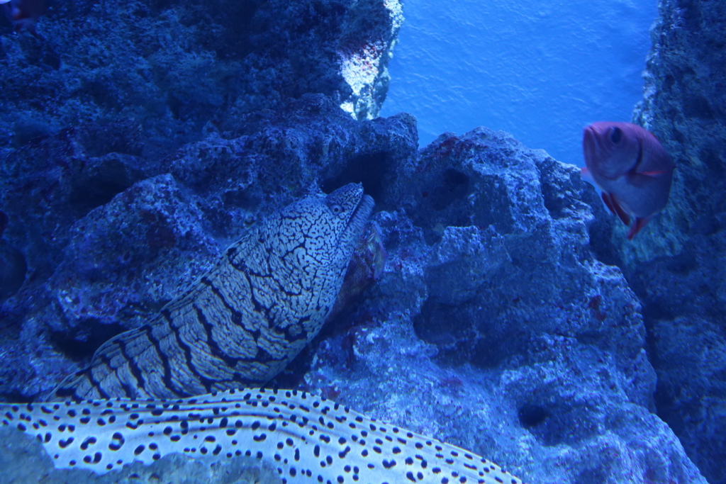 98B26E51-E5C9-4A24-BDBC-059E27811047