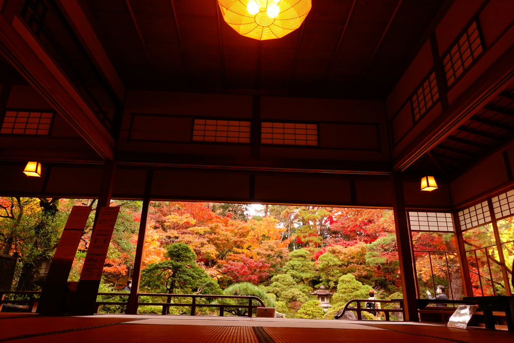 紅葉真っ盛り
