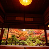 紅葉真っ盛り