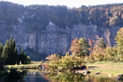 EF020EAF-5286-4F30-87AE-7B795470FD7D