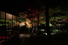 庭園