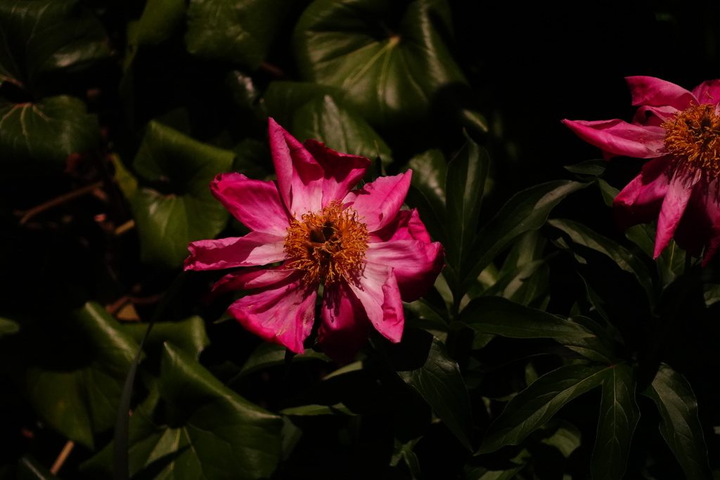 6073B921-0464-45D7-9C1D-8041C9607815