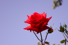 9A93E17C-4886-4C2D-A272-59B6C8729637