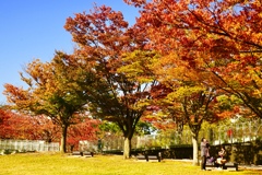 6CE558B2-E13B-4F4A-9381-DC2CCB99C7D7