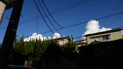 夏の象徴