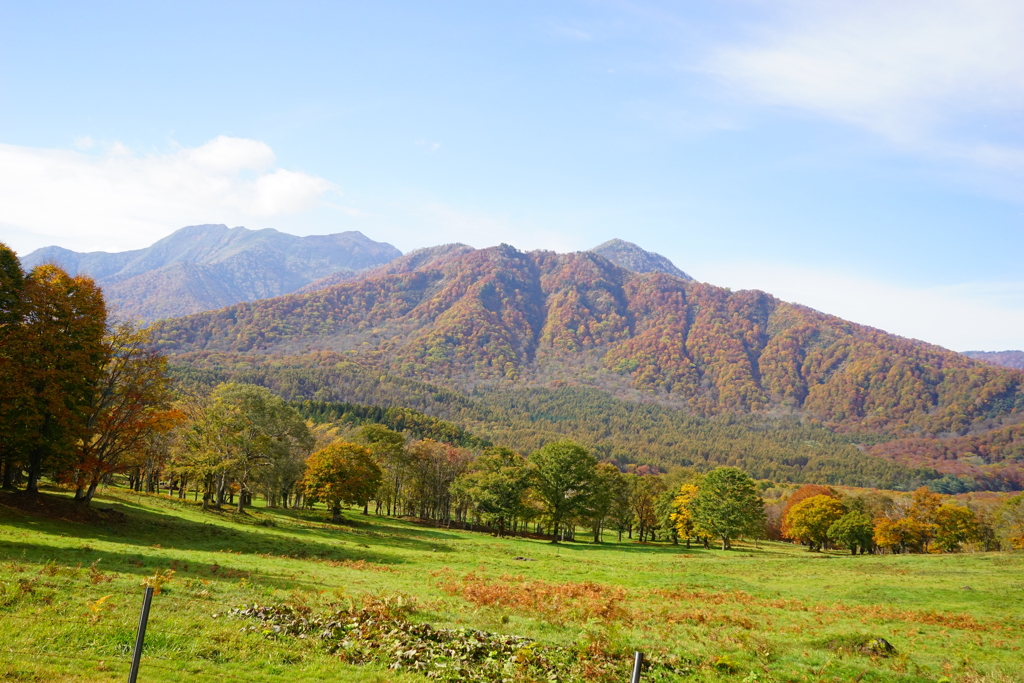 笹ヶ峰高原その1