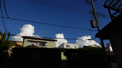 夏の象徴
