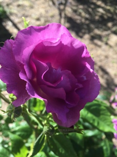 FD9A7DAD-1EC3-46D6-BCC8-F9F2A436AACC