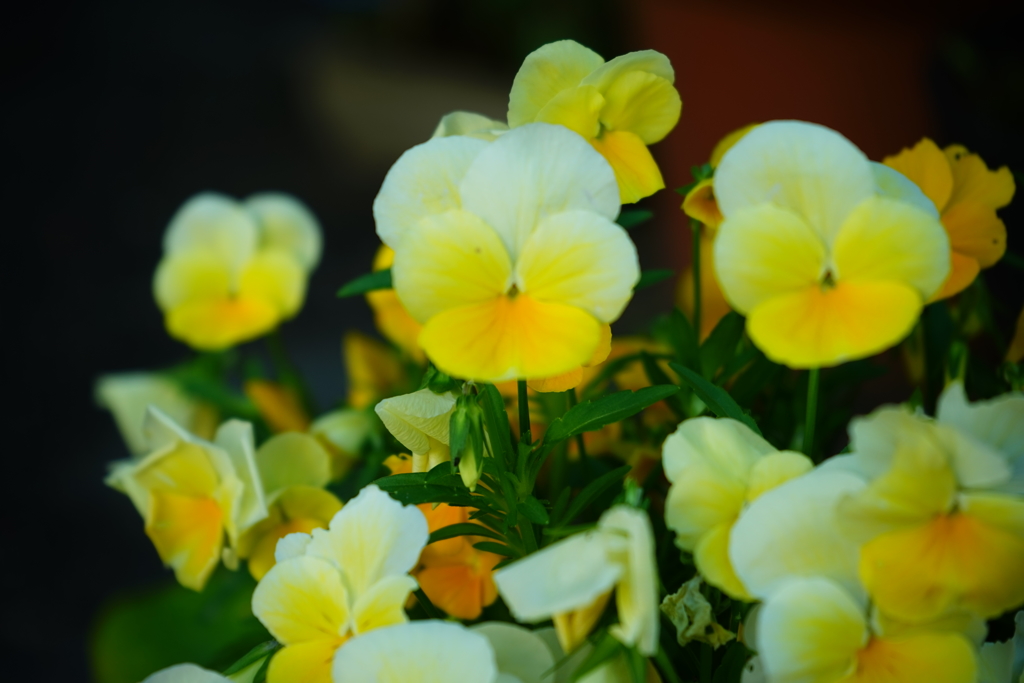 47FC0718-1B70-45B1-B197-1CDEC8CF3E15