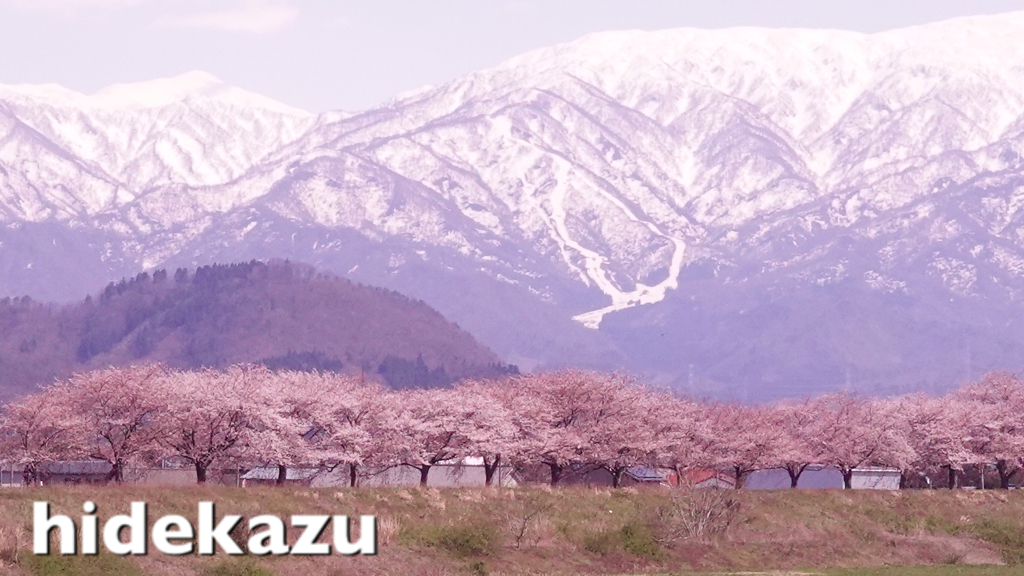 071BEC66-20F2-498C-AA46-75E02DF2EF0A