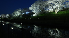 夜桜