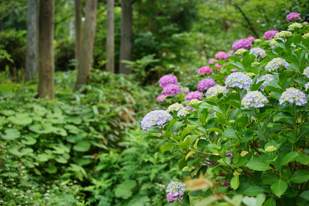 F9BA408D-BFEA-4210-A7D0-DAB62EFE95FA