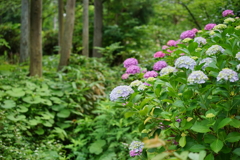 F9BA408D-BFEA-4210-A7D0-DAB62EFE95FA