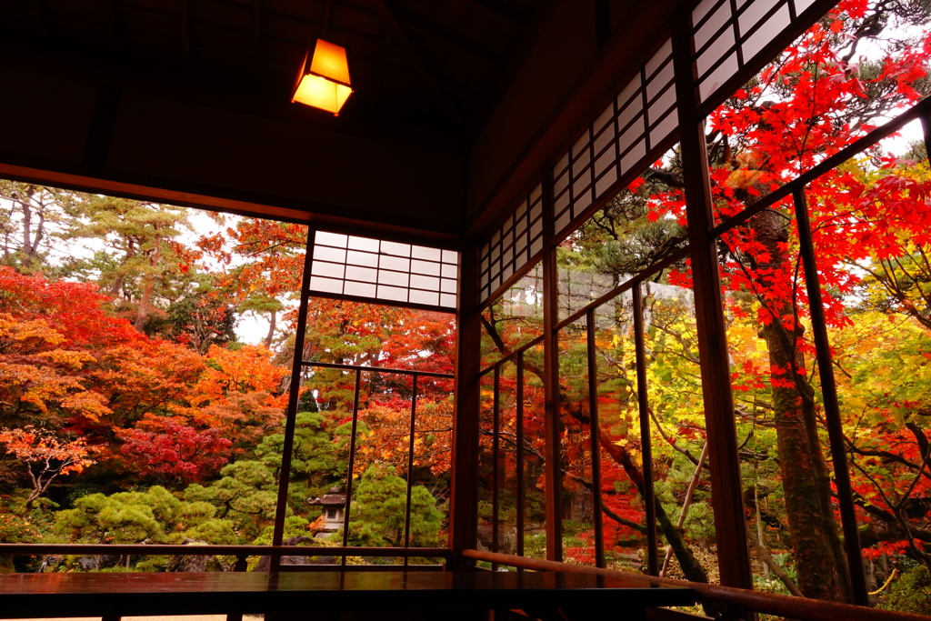紅葉真っ盛り