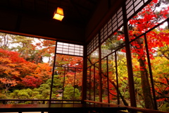 紅葉真っ盛り