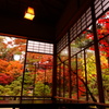 紅葉真っ盛り