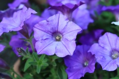 4654E566-633B-4A28-8F64-9D858693FB89