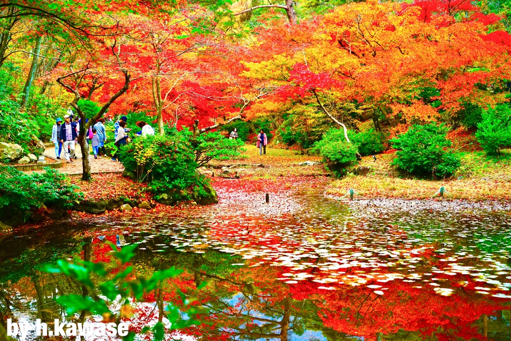 8E91F252-080A-41AA-88A9-FEADE73D92B1