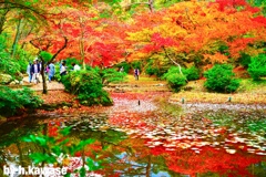 8E91F252-080A-41AA-88A9-FEADE73D92B1