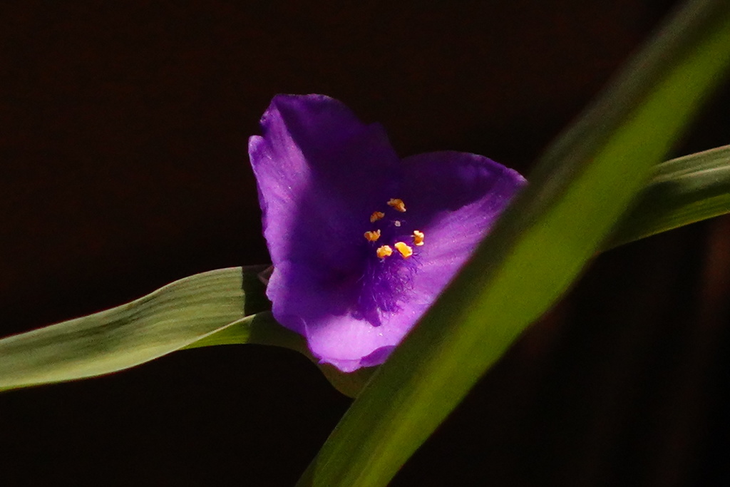 53A1253F-9C7C-4A7C-B004-65FEE64EC653