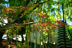 5B25161A-0E87-447C-9BFE-6085B35F0CD3