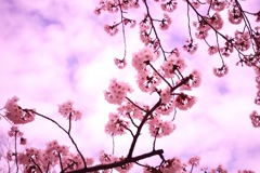 3FDB9BB8-F233-440F-B8F2-AD455F6028A6