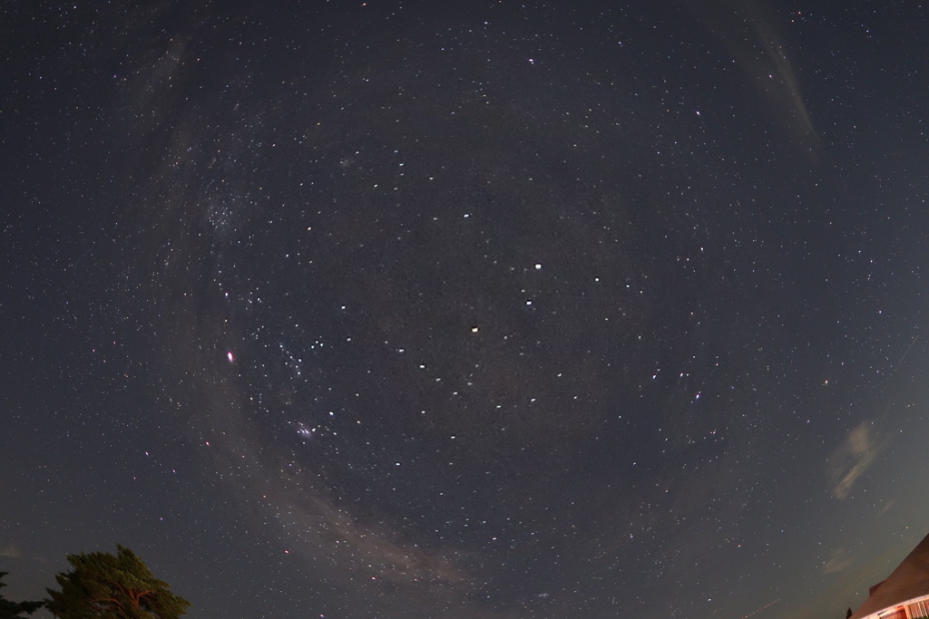 99B7D3F2-F94A-4DFA-95B1-9B9B5BEBDD2F