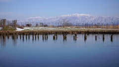 新潟市の観光名所福島潟