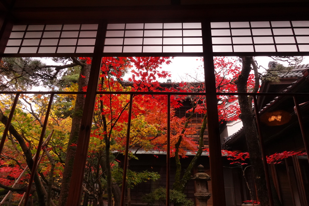 紅葉真っ盛り