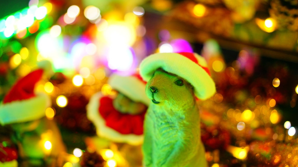 イルミネーション