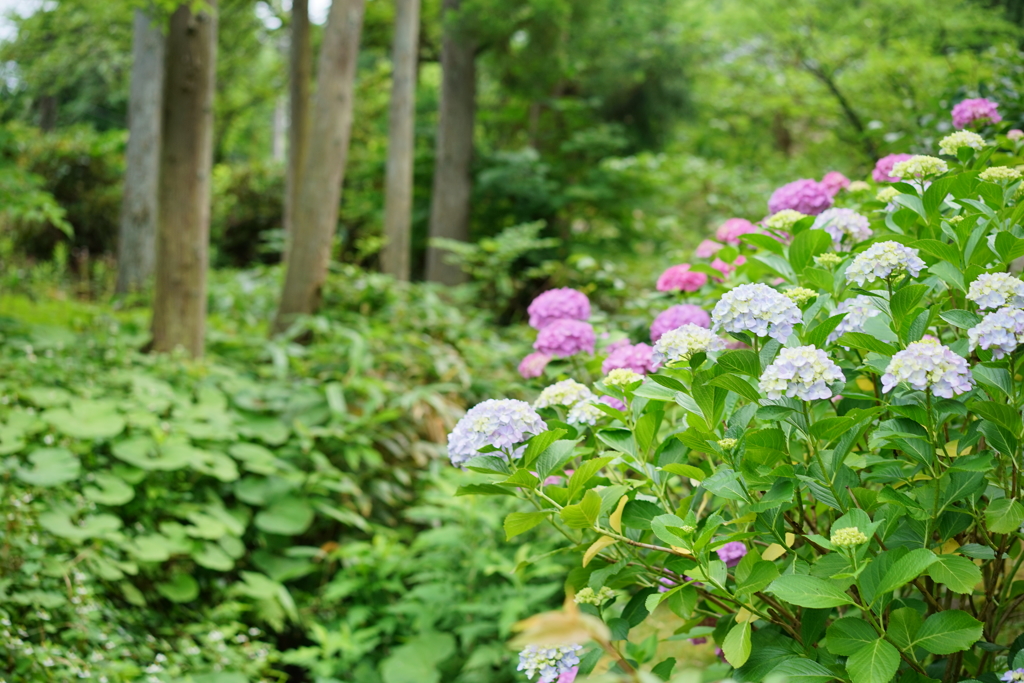 8F9F5C4B-8620-45F9-8DC0-0CEBE8F4C0BC