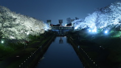 夜桜