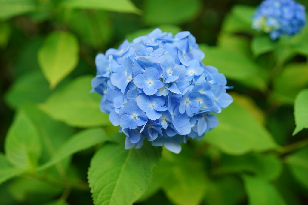 99B14BD9-0B70-483D-BEB9-61FA7CFA0B40