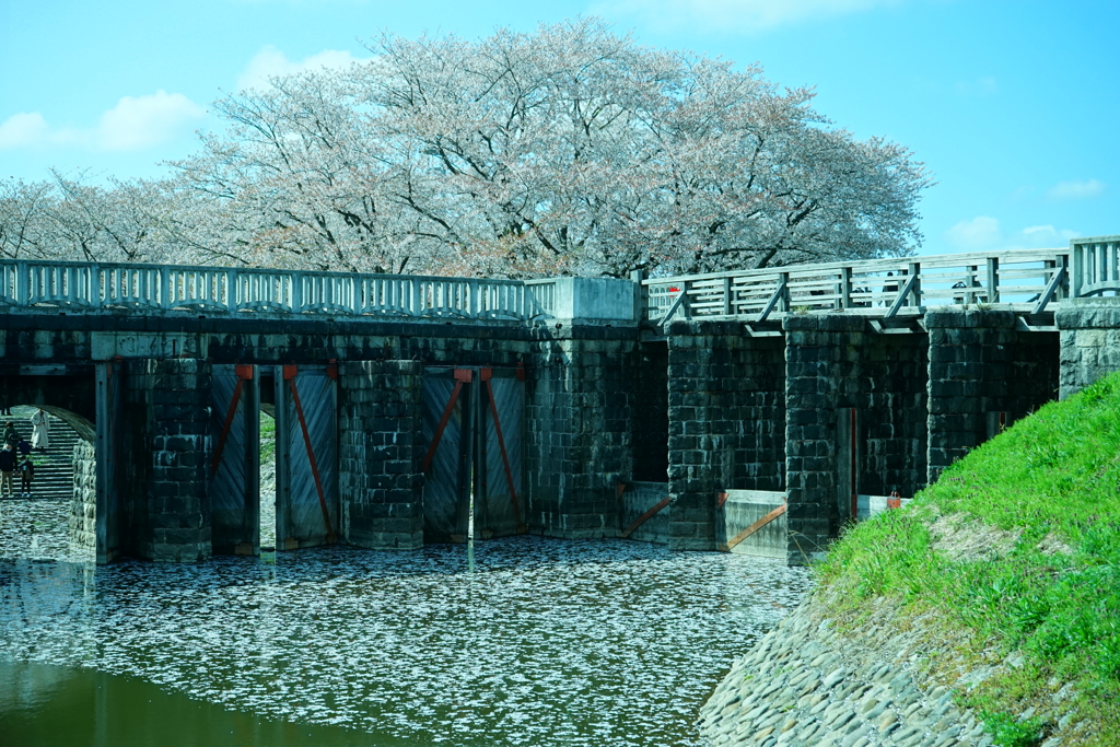 加治川治水公園