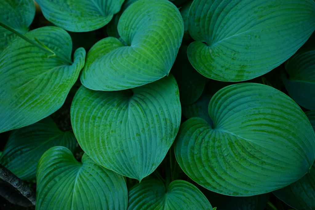 7A6D04C1-8BDA-42F4-B813-9F62F1553CF1