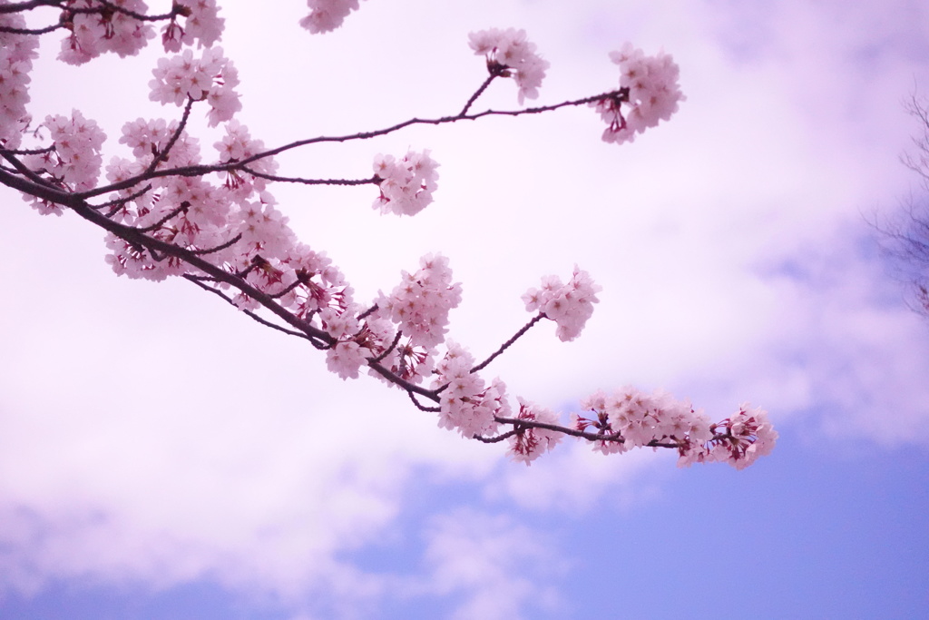 4421633C-25B8-45B0-9B2B-1BA90755ACB7