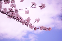 4421633C-25B8-45B0-9B2B-1BA90755ACB7