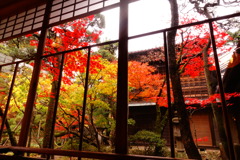 紅葉真っ盛り