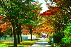 26ECD728-2C3D-4B4C-B337-C54F44CC02FA