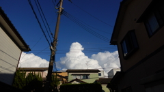夏だ
