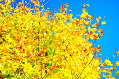 ED12EBFD-686D-4706-8329-5A9E74216596