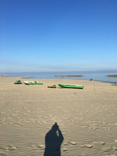 海は広いなぁ、大きいなぁ。