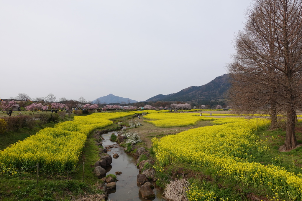 C50FC917-9EAB-496F-B155-D6A4BA21CC62