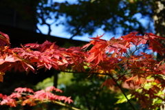 88B0276E-B105-4F38-82F3-CB4683818919