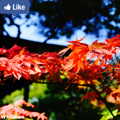 4D7FB889-45B3-4F5A-8C18-21EF500F1564