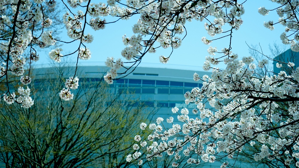 新潟リュートピア