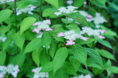 08E6C0BF-4D54-4F3E-8F21-F46DB78466D0