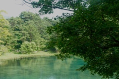 EC7B5389-3699-42B2-855A-2A4BA977726E