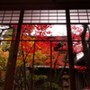 紅葉真っ盛り